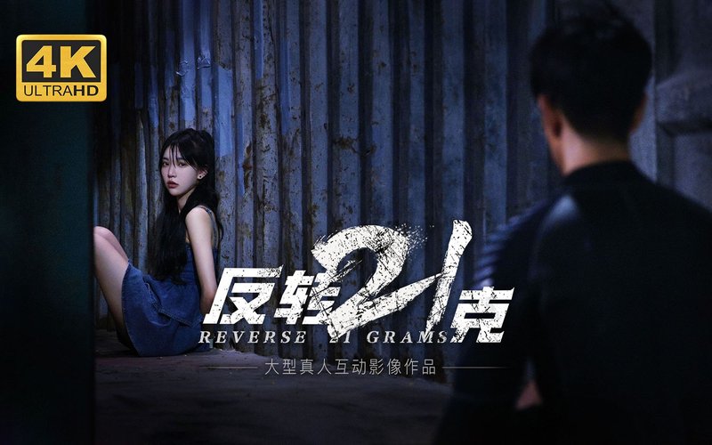 反转21克 全DLC 暗夜幽影+迷雾中的真相+命运红线 免登录 悬疑 科幻 都市