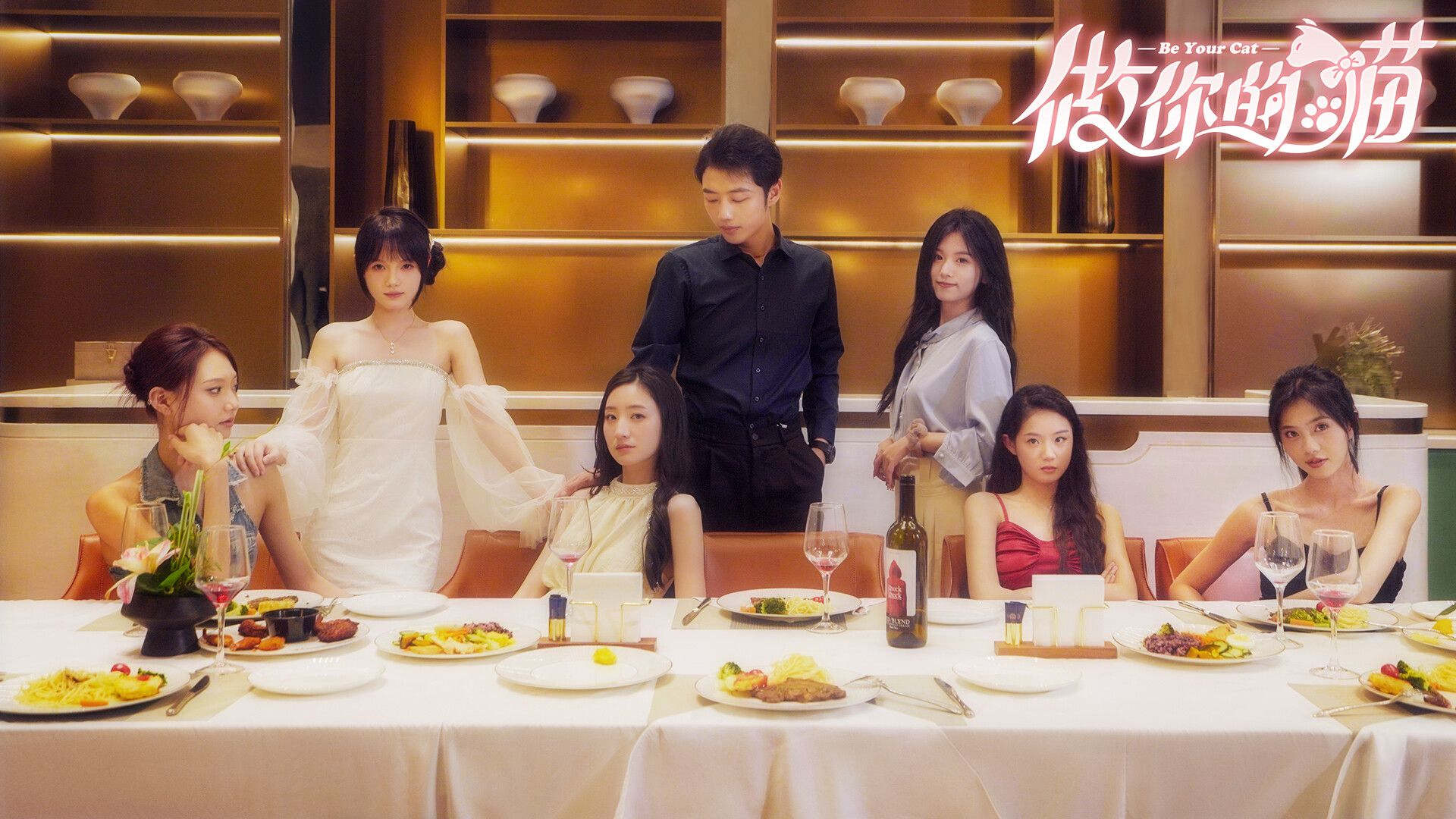 做你的猫 恋爱 都市 其他